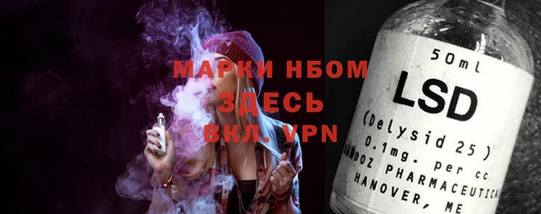 гашик Алексеевка